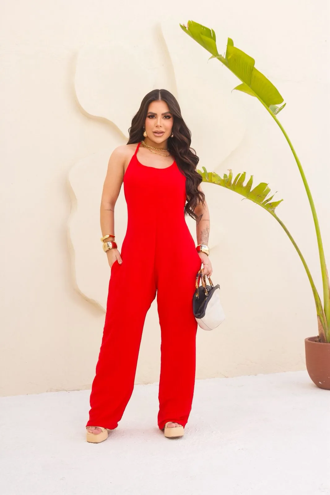 Distribuidora Magazine