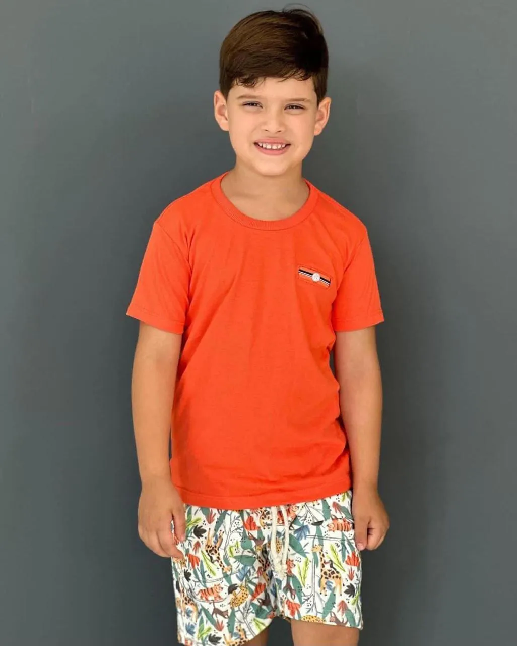 Distribuidora Magazine