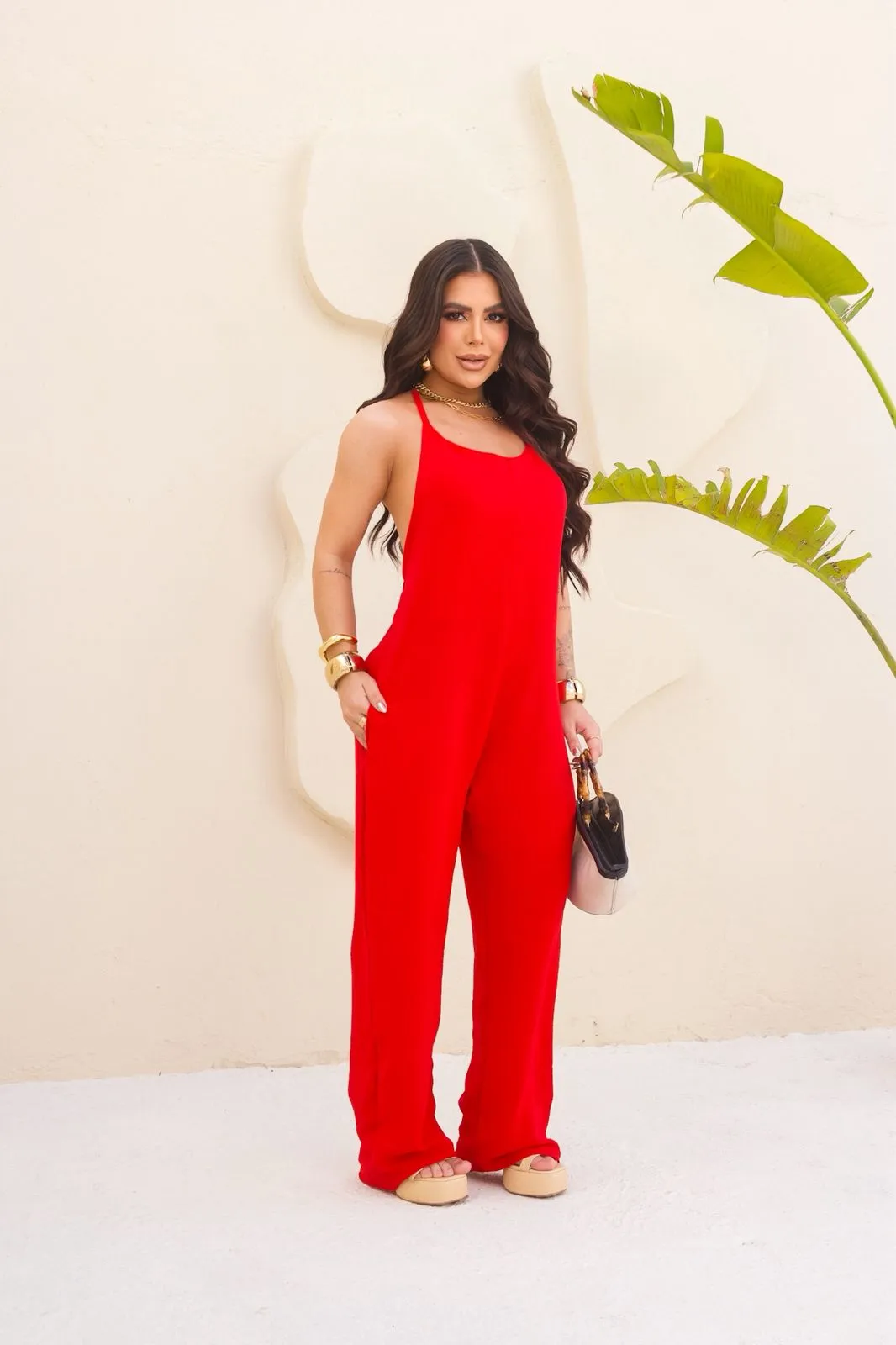 Distribuidora Magazine