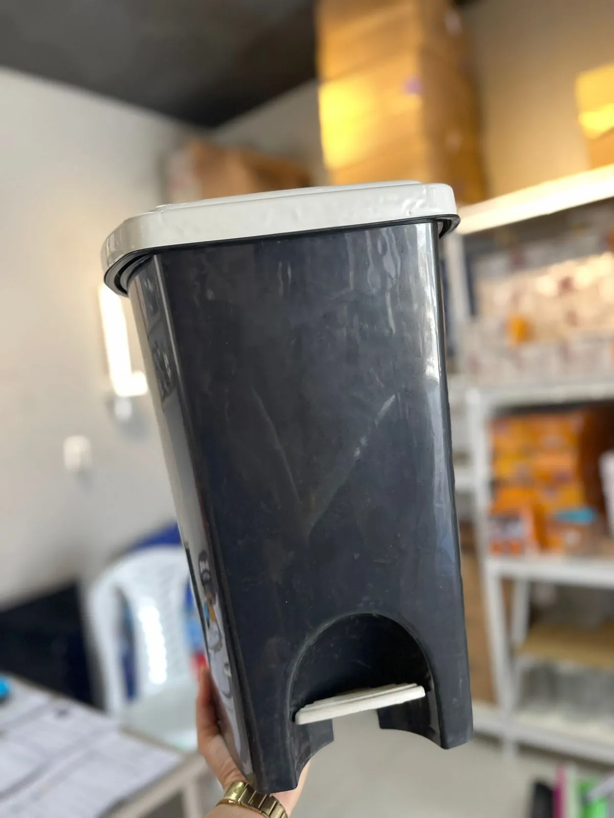 Distribuidora Nota 10