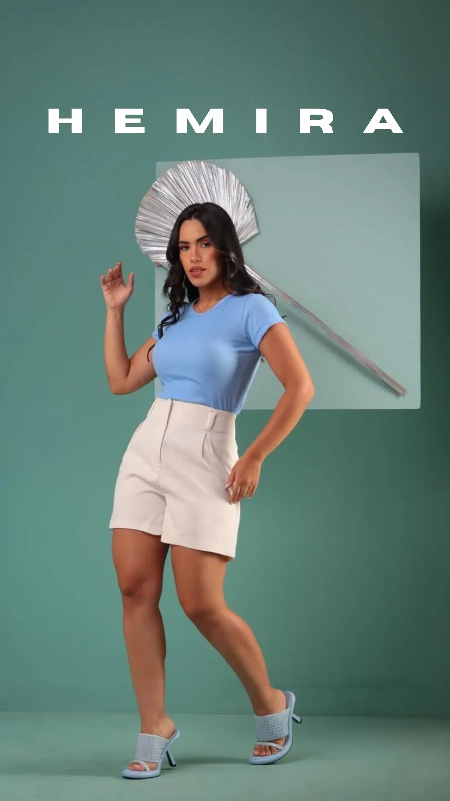 Hemira Distribuidora