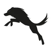 Lobo Feroz Camisaria 